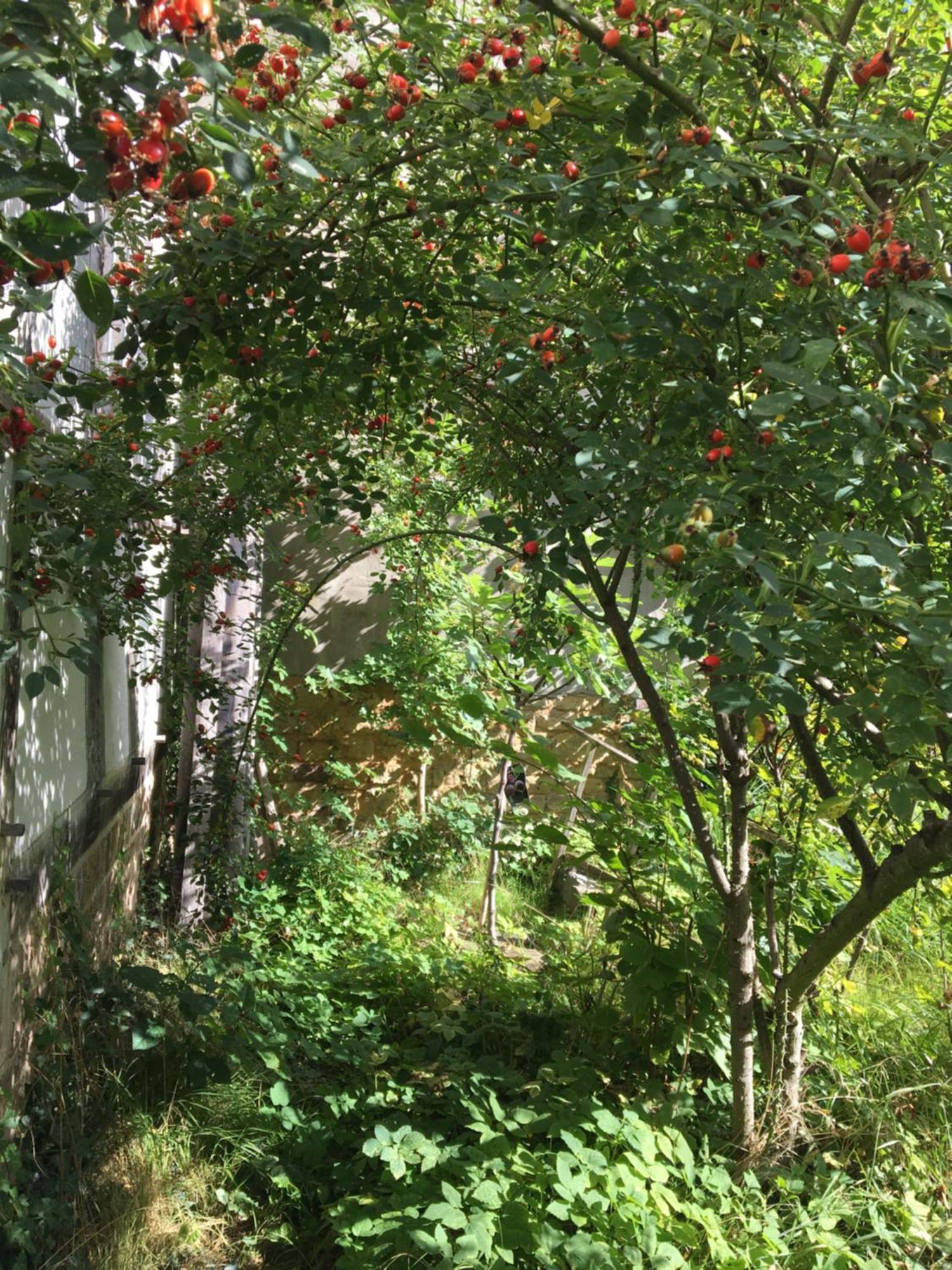 Cherrytree Cottage 1840 海姆巴赫 外观 照片