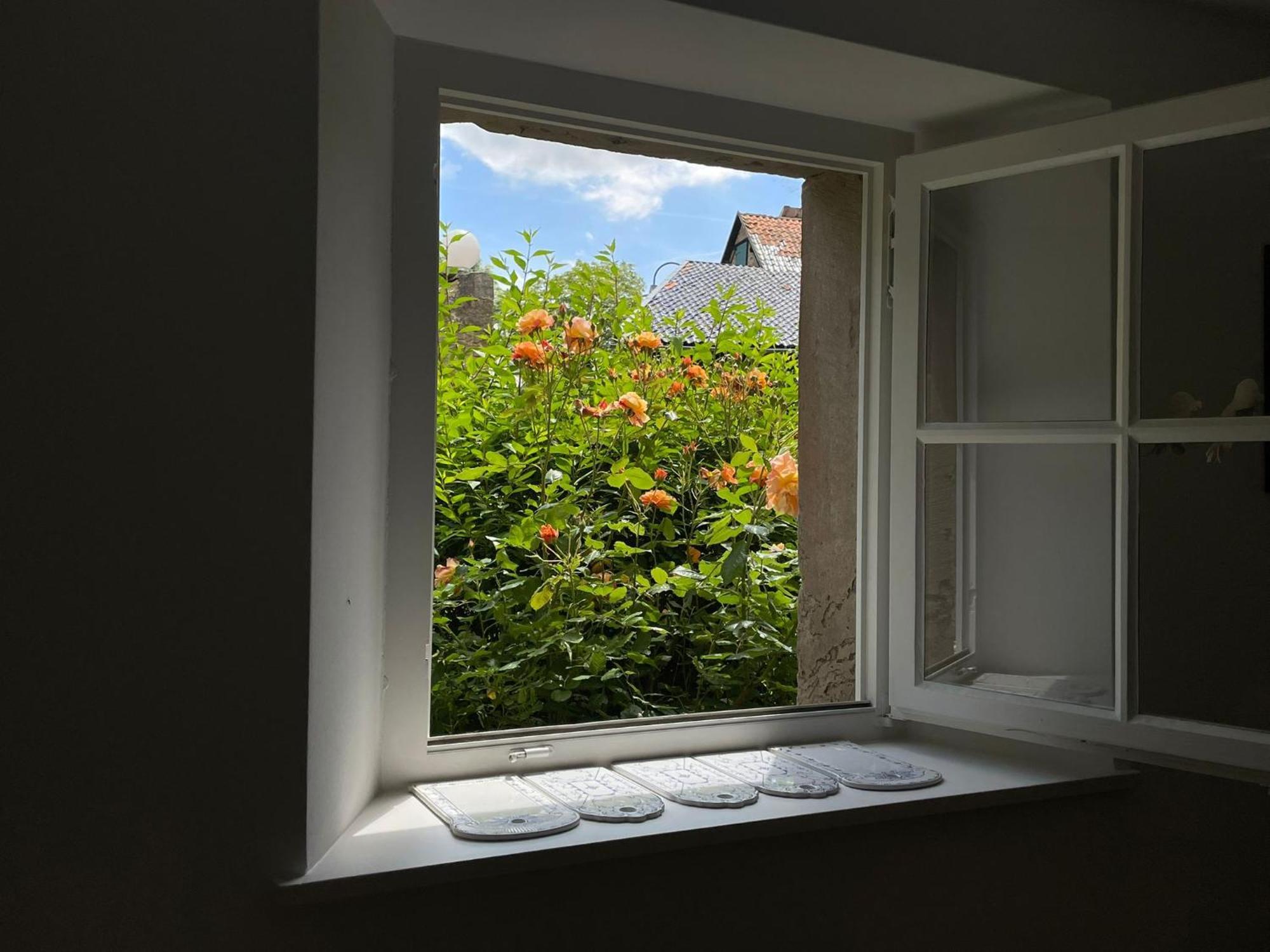 Cherrytree Cottage 1840 海姆巴赫 外观 照片