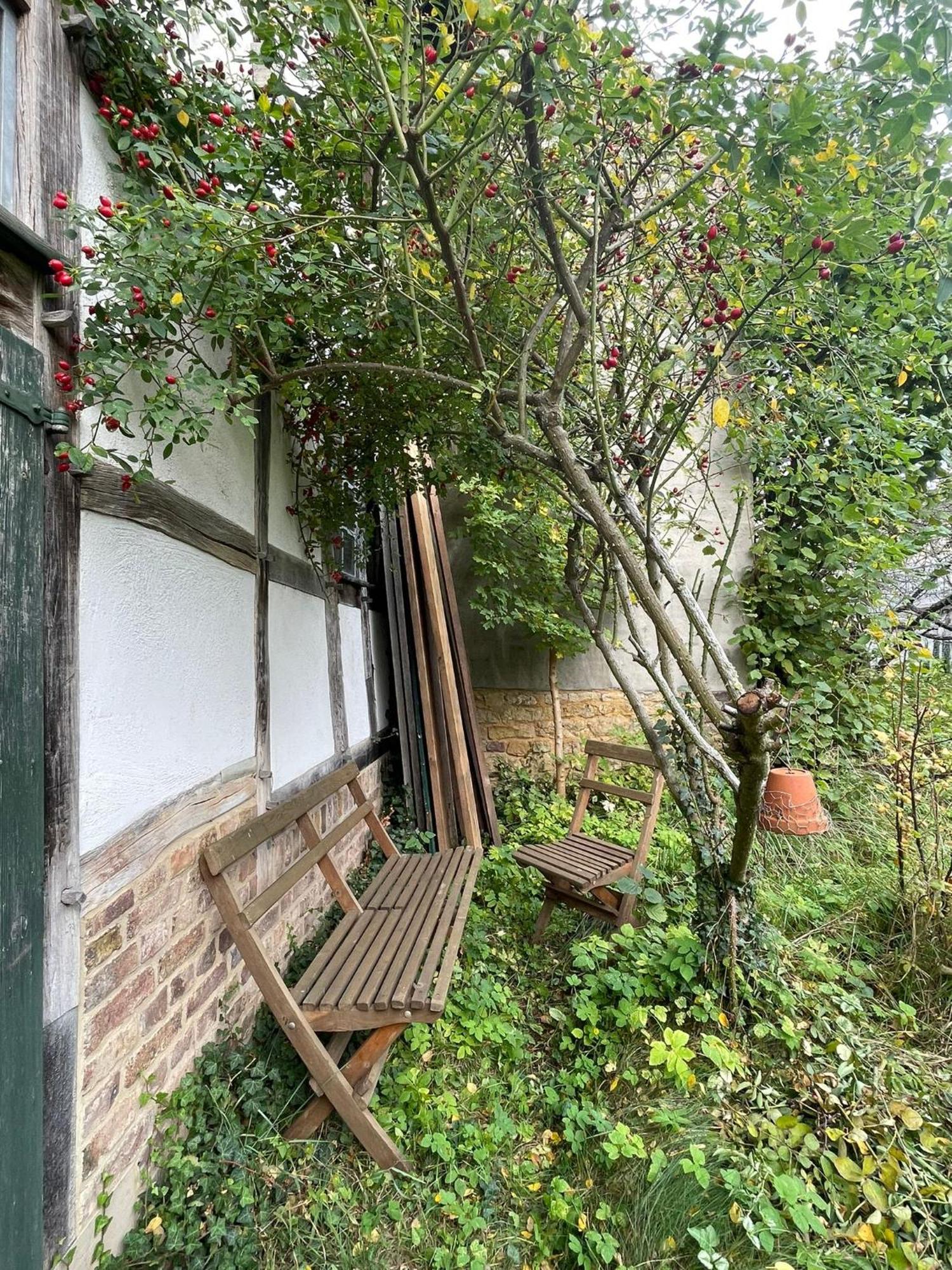 Cherrytree Cottage 1840 海姆巴赫 外观 照片